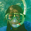 Click to see P20040104.JPG